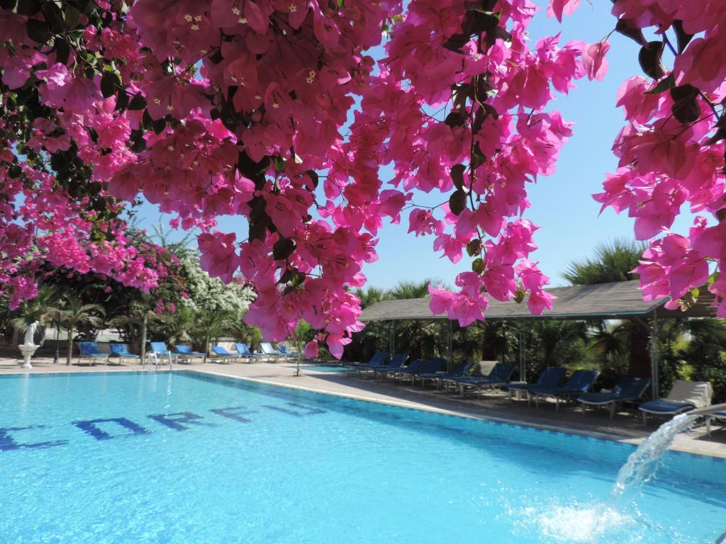 CORFU HOTEL, Aja Napa, Kipar