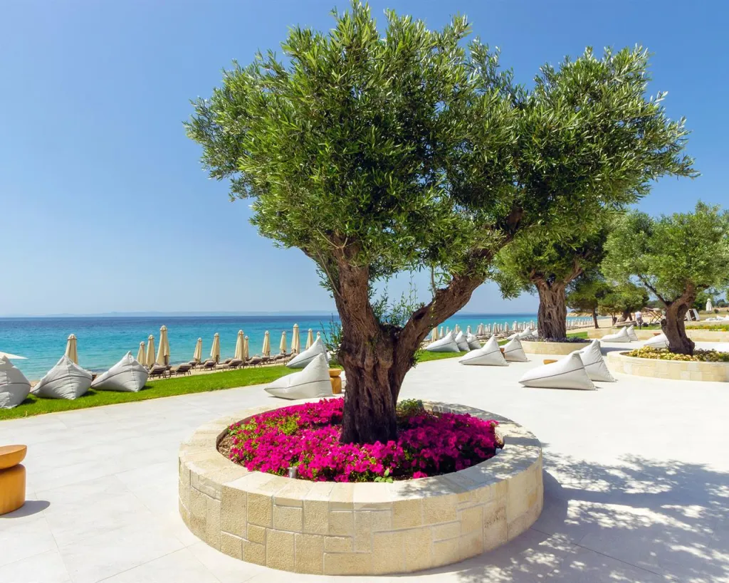Ammoa Luxury Hotel & Spa Resort, Agios Ioannis, Grčka — spa i wellness