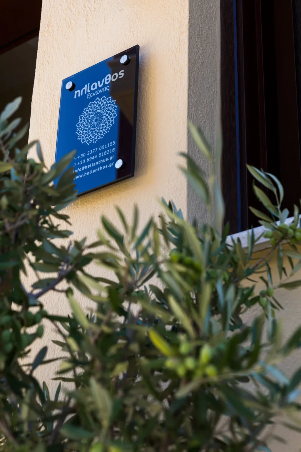 Helianthus Guesthouse, Amuliani, Grčka — fotografija 5