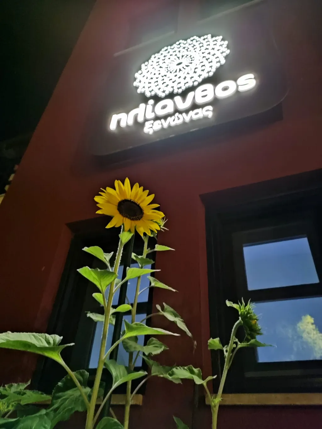 Helianthus Guesthouse, Amuliani, Grčka — fotografija 39