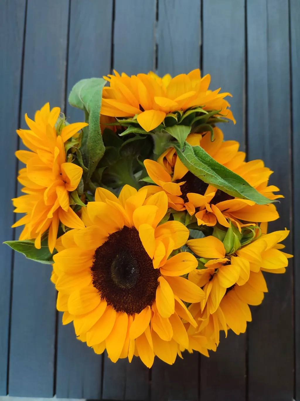 Helianthus Guesthouse, Amuliani, Grčka — fotografija 44