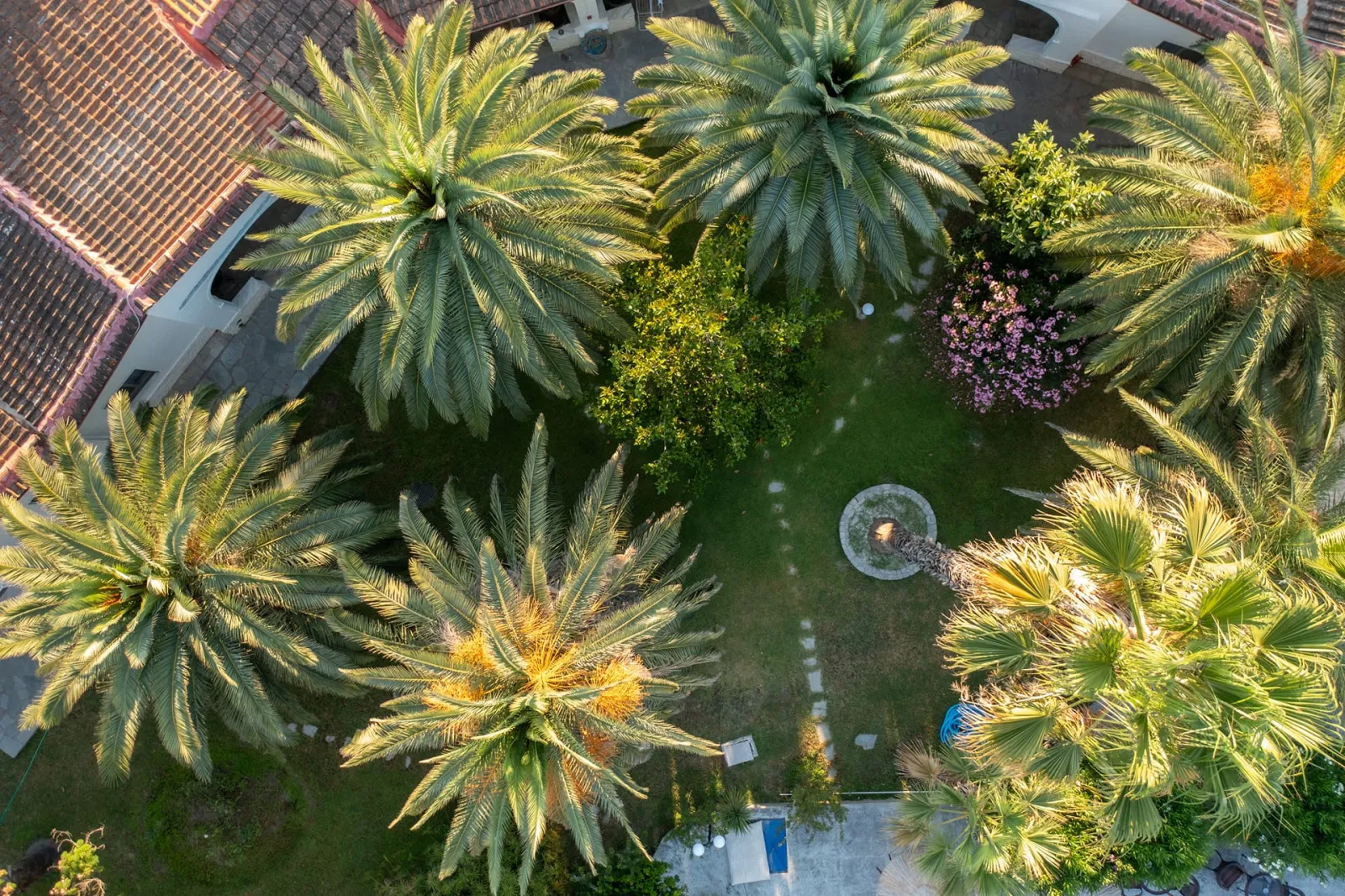Palma Village by Greek Pride, Grčka — Open Plan Luxury Suite Pool View