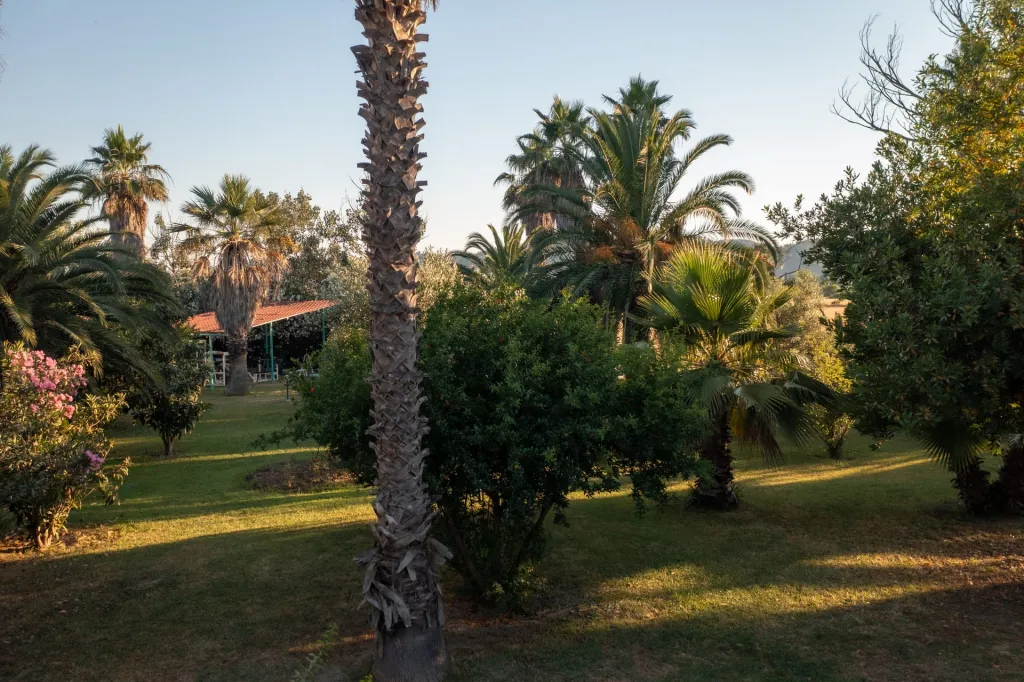Palma Village by Greek Pride, Grčka — fotografija 14