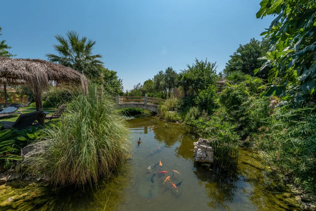 Achtis Hotel Chalkidiki, Grčka — fotografija 8