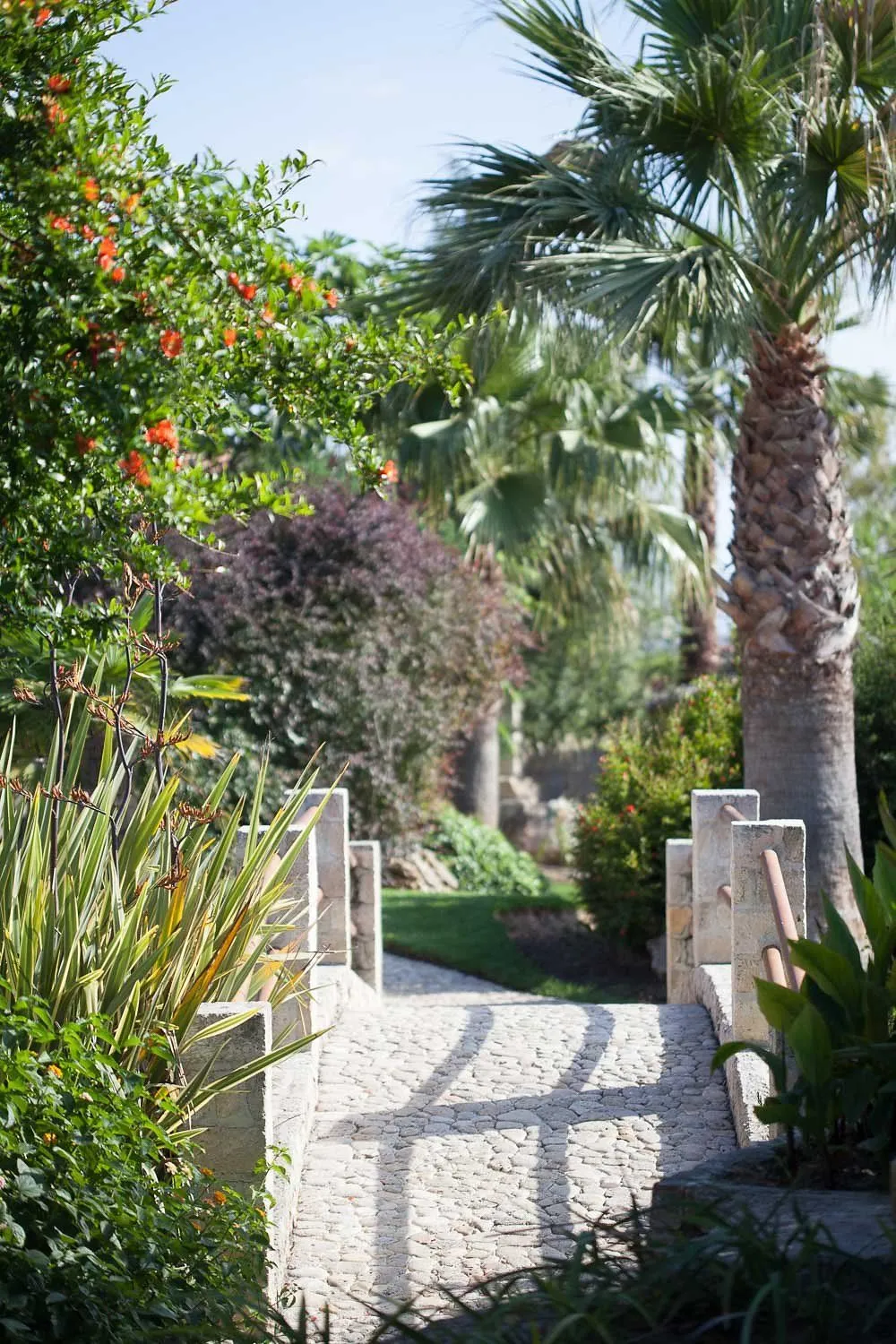Achtis Hotel Chalkidiki, Grčka — fotografija 9