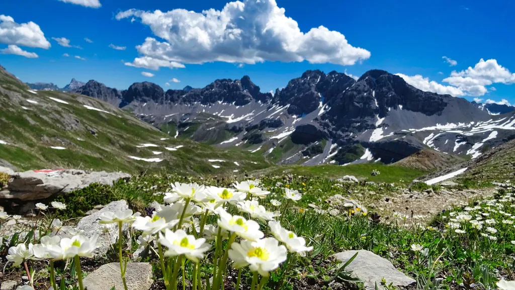 Tirol porodični šale — galerija 3