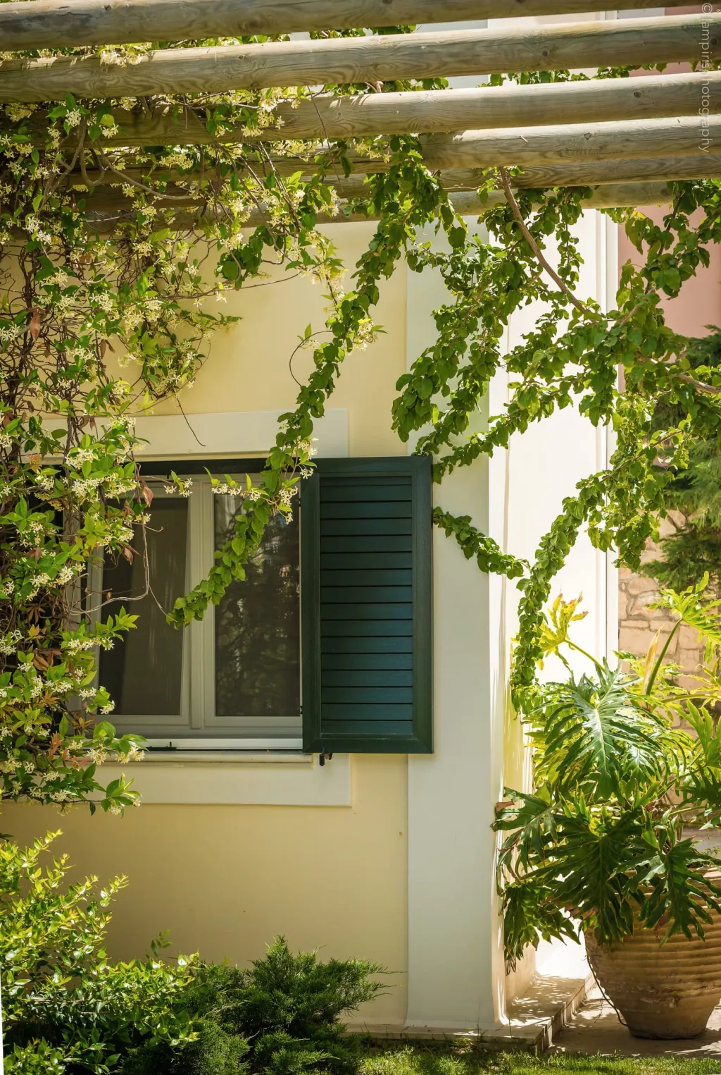 Erietta Aparthotel, Tsilivi, Grčka — fotografija 4