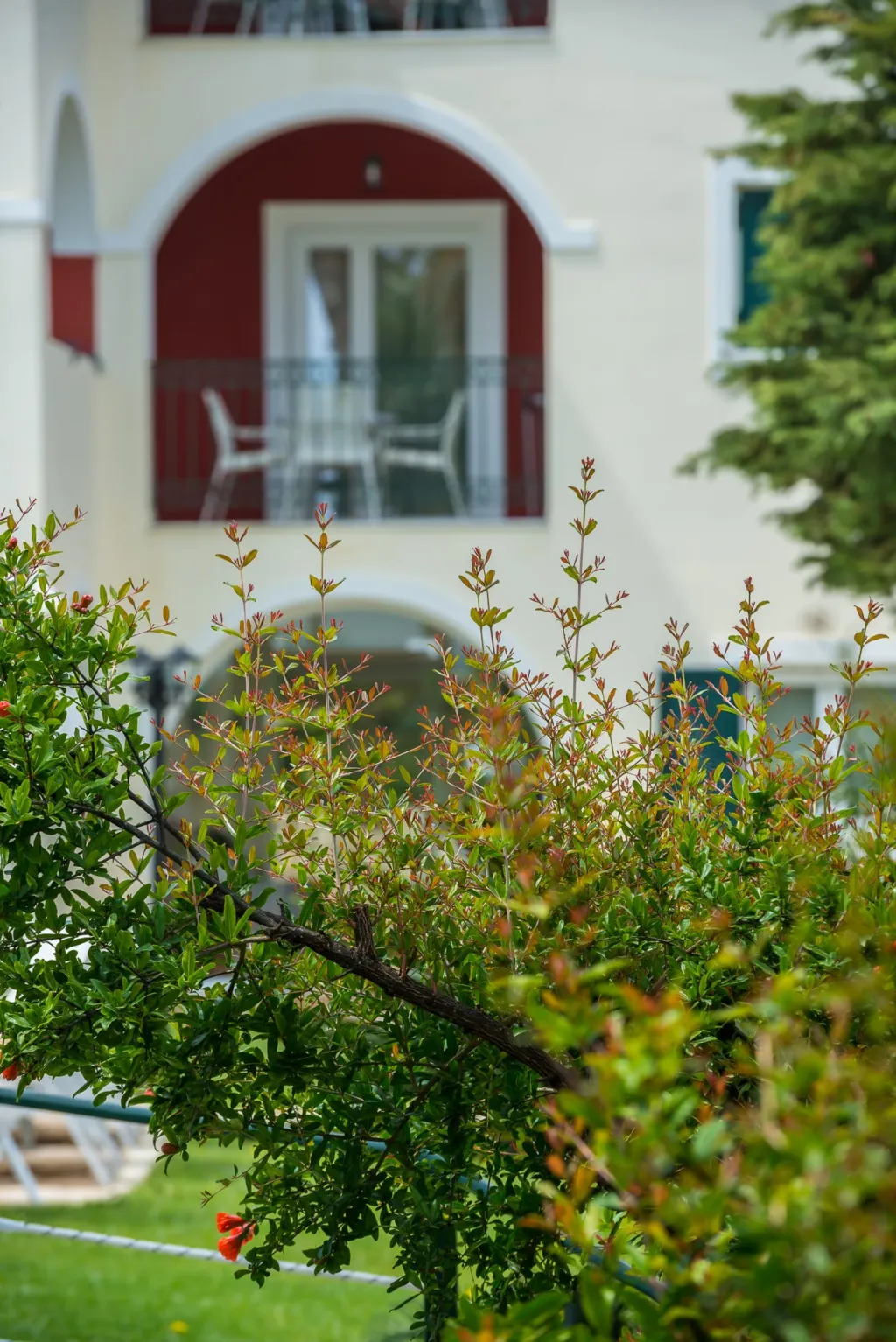 Erietta Aparthotel, Tsilivi, Grčka — fotografija 5