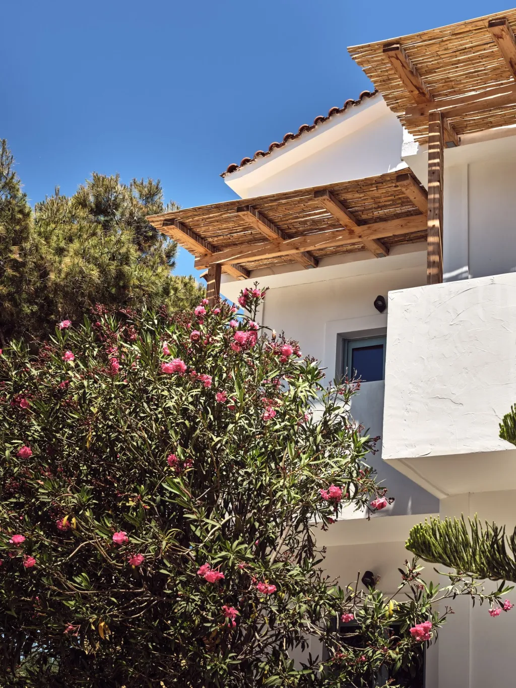 Shellona Zakynthos, Laganas, Grčka — fotografija 41