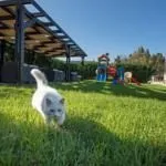 Kookis Village Zakynthos, Porto Kukla, Grčka — fotografija 6