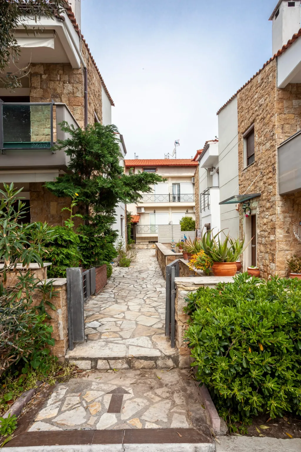 Live in Greece, Više mesta na Kasandri, Grčka — fotografija 33