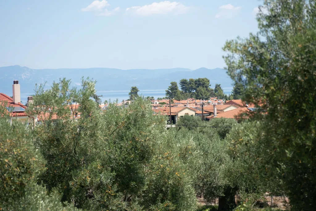 Valery Apartments Pefkohori, Pefkohori, Grčka — fotografija 17