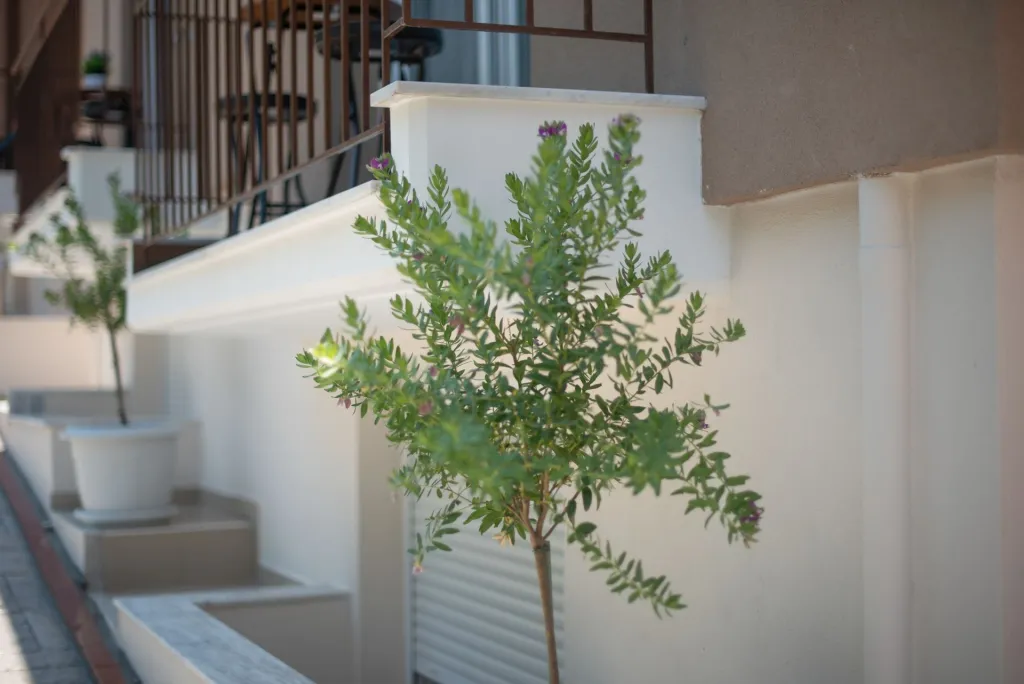 Valery Apartments Pefkohori, Pefkohori, Grčka — fotografija 20