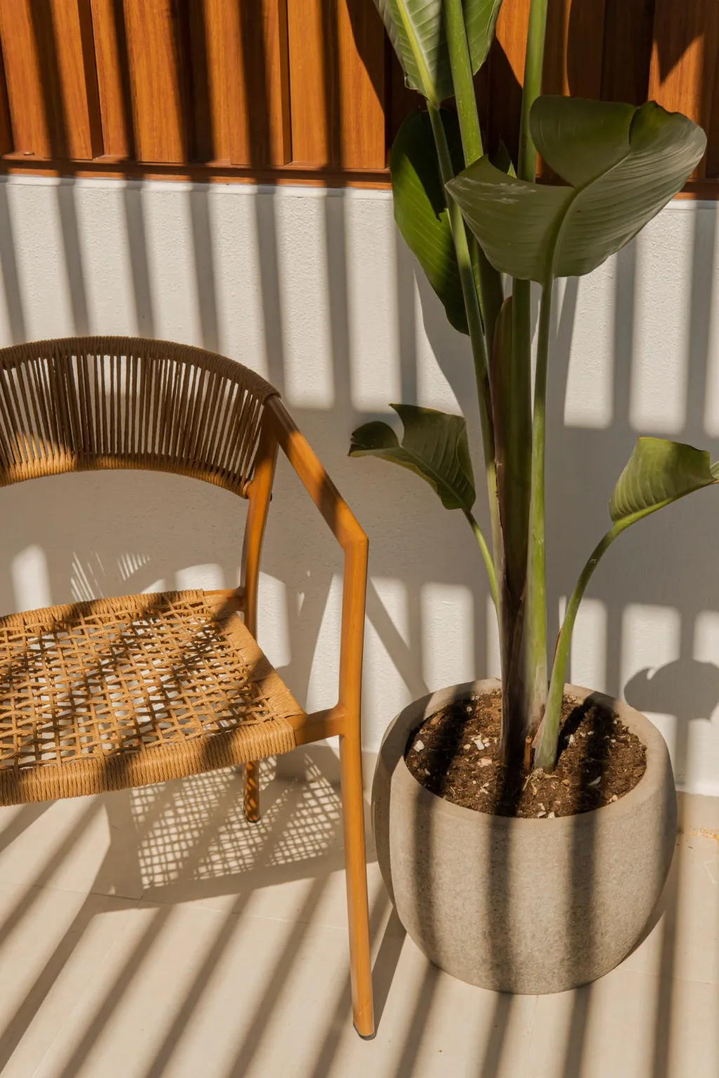 Palm Boutique Suites, Pefkohori, Grčka — fotografija 15