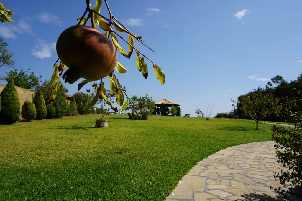 Villa Orama Chalkidiki, Nea Potidea, Grčka — fotografija 9