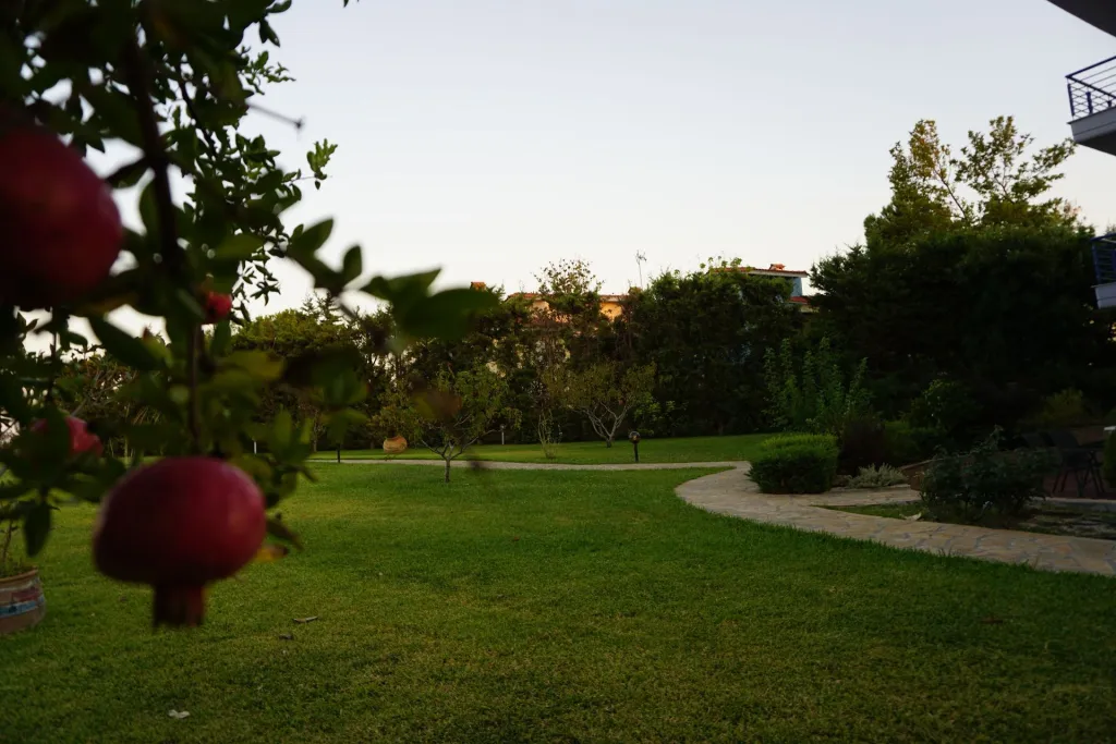 Villa Orama Chalkidiki, Nea Potidea, Grčka — fotografija 18