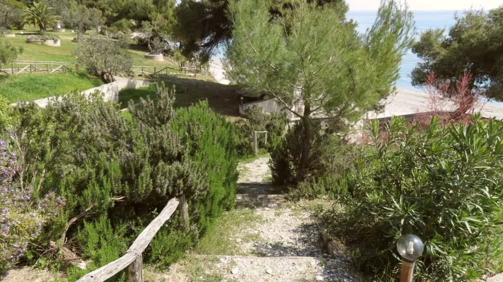 FLH - Halkidiki Properties, Grčka — fotografija 11