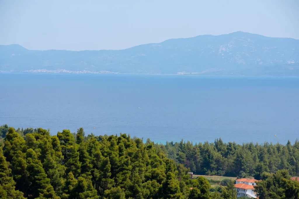 Terra Olivia Chalkidiki, Paljuri, Grčka — fotografija 8