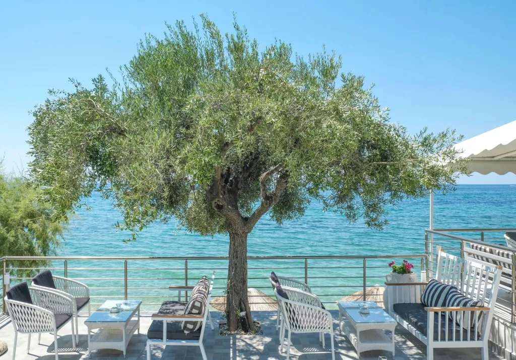 Acrotel Athena Villas, Akti Elias, Grčka — fotografija 18
