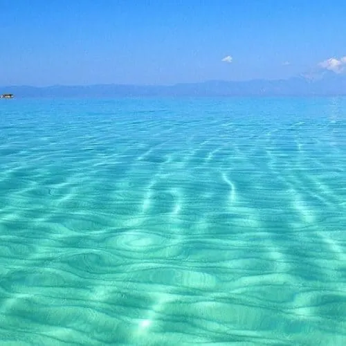 Olive Villas Rentals Halkidiki