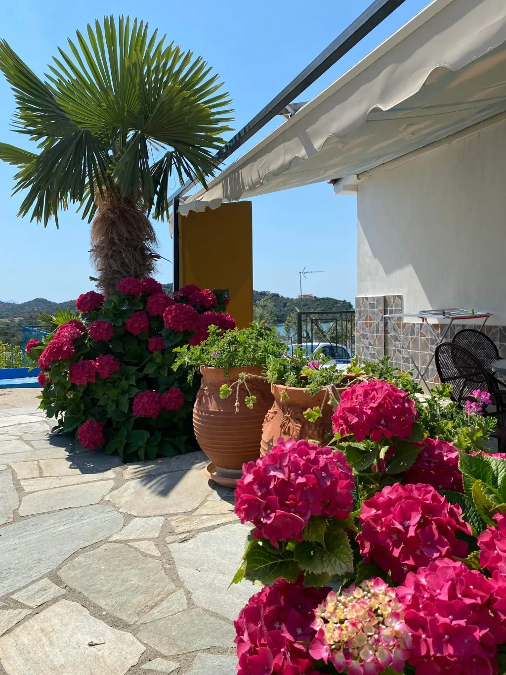 Demi Studios Halkidiki, Amuliani, Grčka — fotografija 17