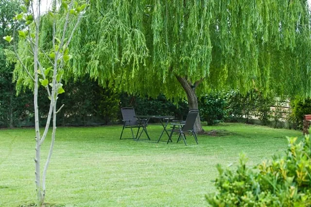 Villa Maltina, Grčka — fotografija 2