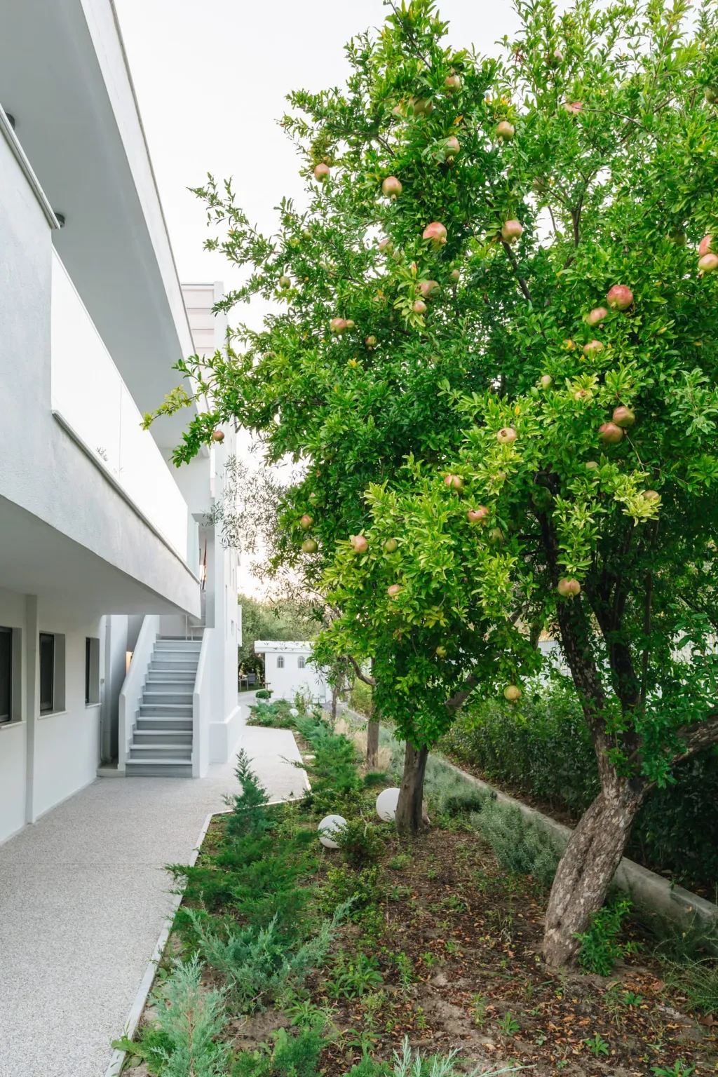 Mariya Art Living, Nea Skioni, Grčka — fotografija 43