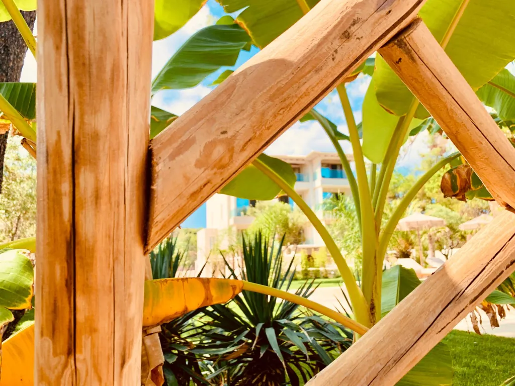 MAKO Sea & Suites, Pefkohori, Grčka — fotografija 4