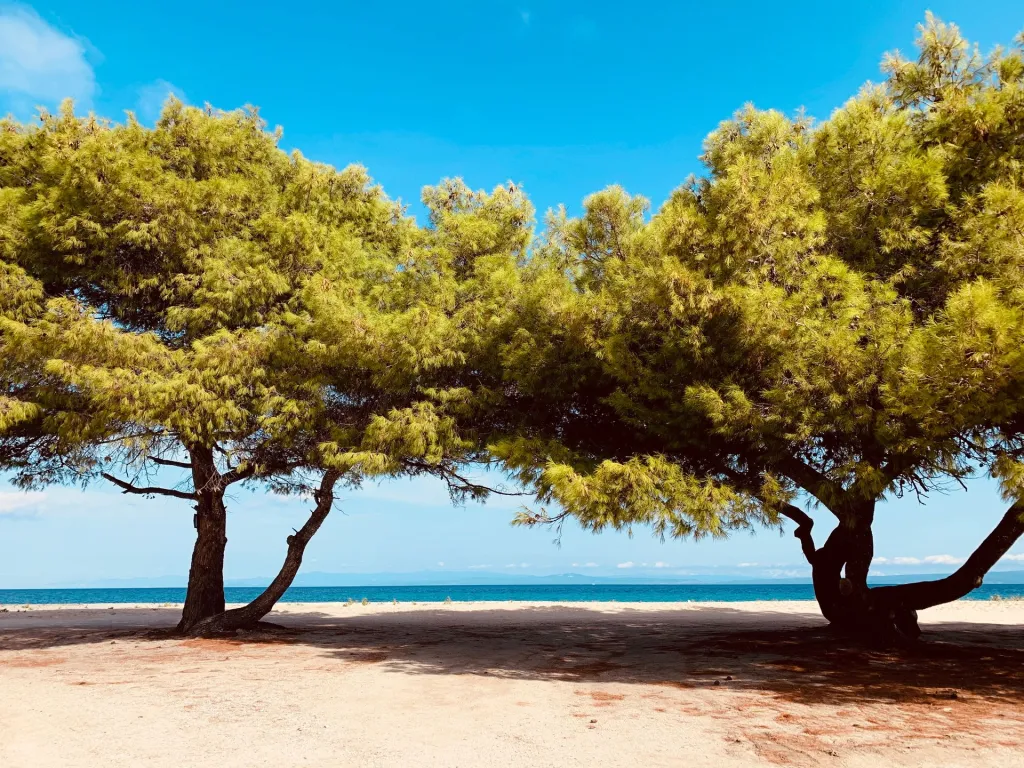 MAKO Sea & Suites, Pefkohori, Grčka — fotografija 23