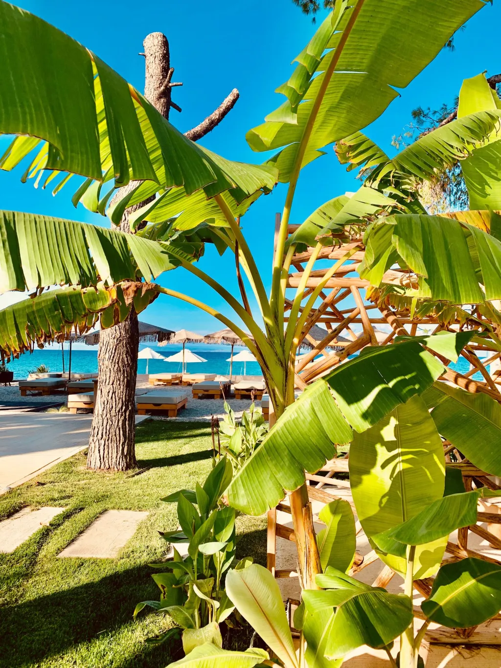MAKO Sea & Suites, Pefkohori, Grčka — fotografija 30