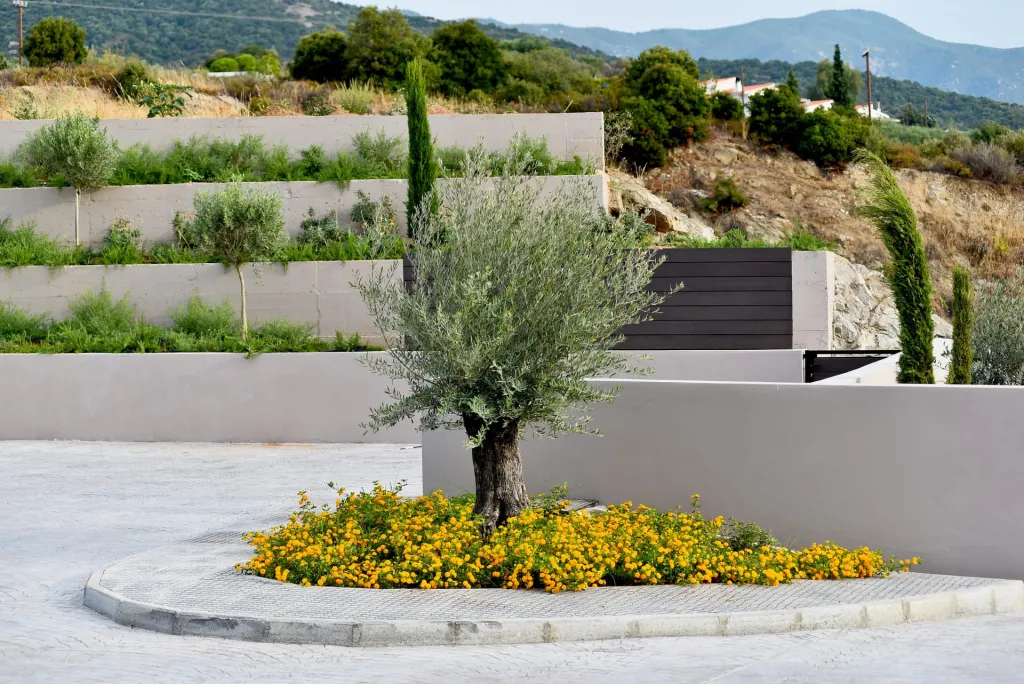 Anasa Luxury Resort, Elaiohori, Grčka — fotografija 1