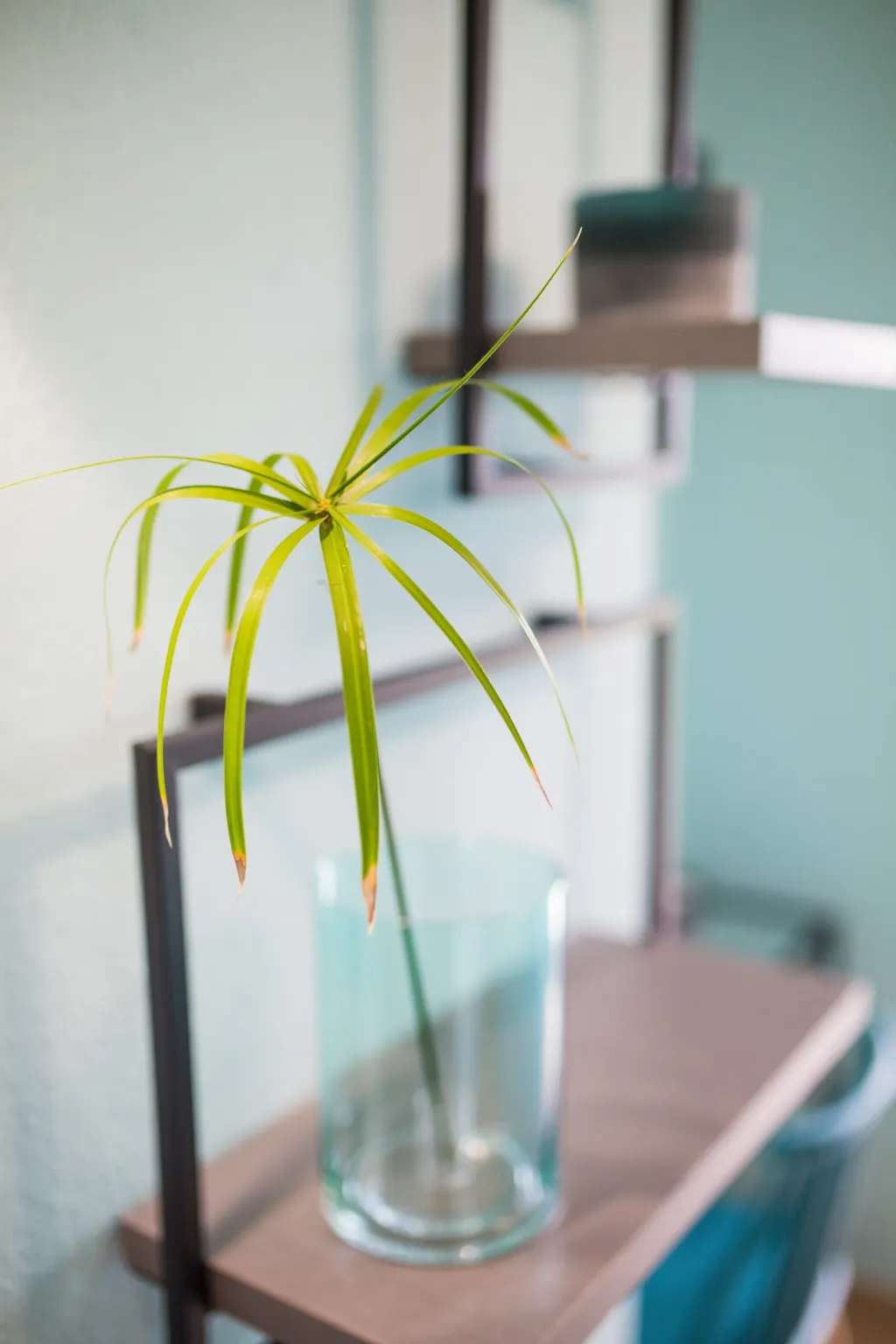 Joya Ofrynio Stylish Suites, Paralia Ofrinio, Grčka — fotografija 6