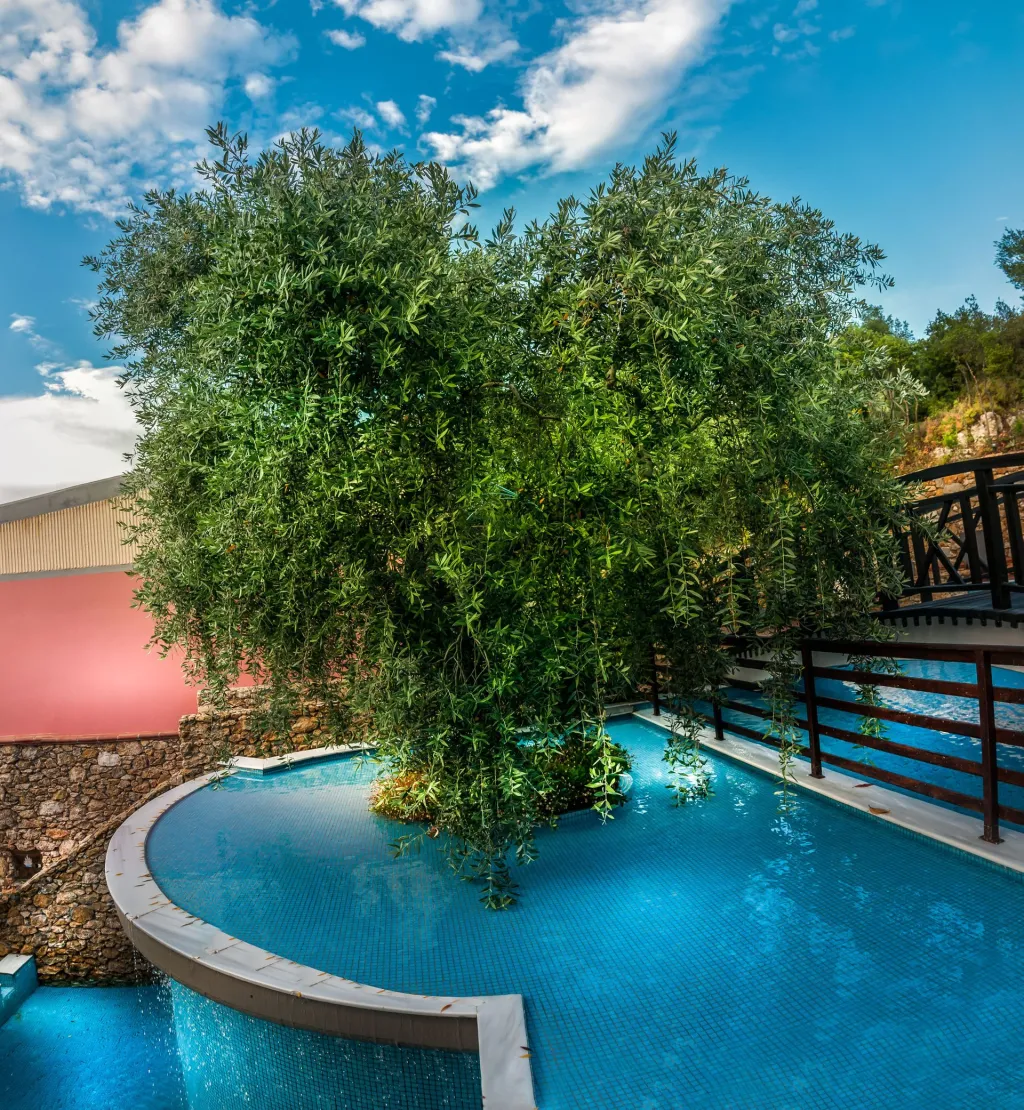 Kallisti Apart Hotel Thassos, Potos, Grčka