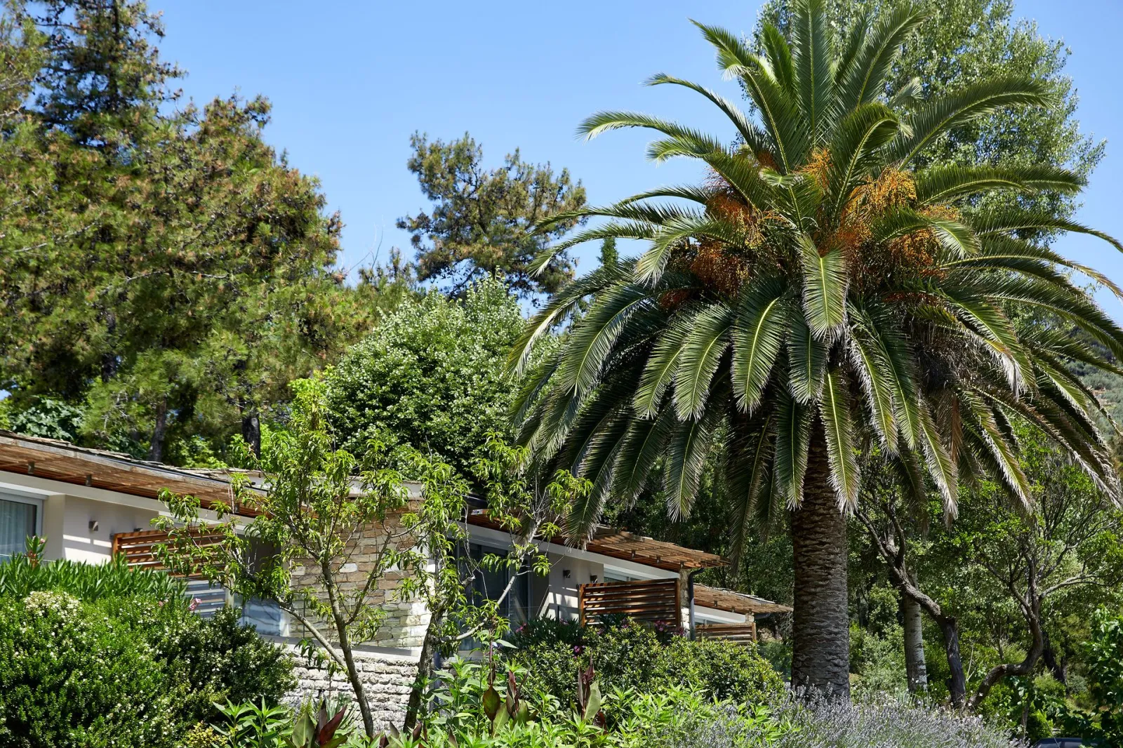 Makryammos Bungalows, Limenas, Grčka — DeLuxe Double