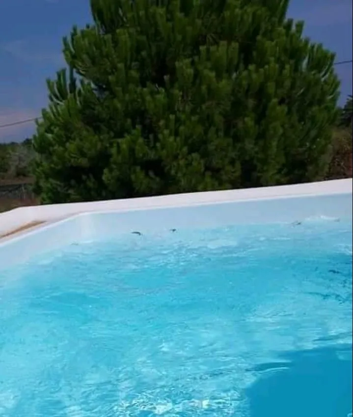 Narciso Thassos Luxury Suites, Dasilio / Skala Prinos, Grčka — Elite Suite Outdoor Jacuzzi Pool & Private Garden
