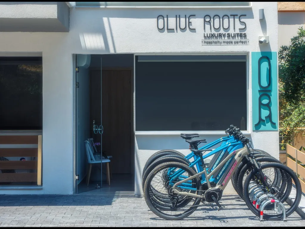 Olive Roots Tasos, Skala Rahoni, Grčka — fotografija 5