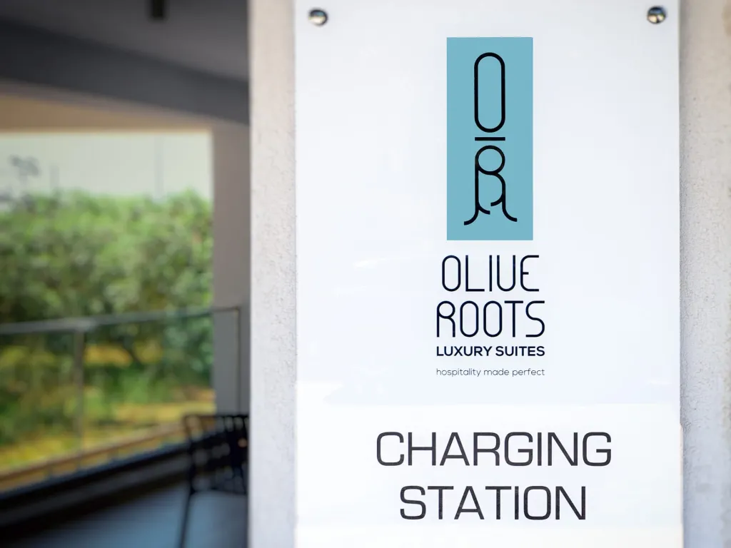 Olive Roots Tasos, Skala Rahoni, Grčka — fotografija 7