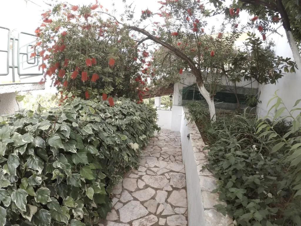 Andromaches Holiday Apartments Corfu, Benices (Ahilion), Grčka — fotografija 23