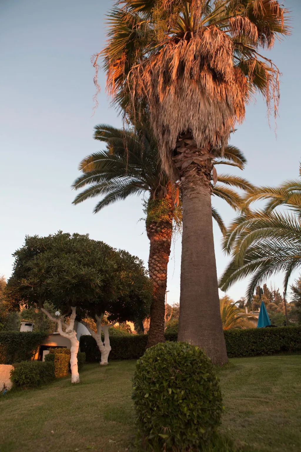 Anita Hotel Corfu, Perama, Grčka — fotografija 10