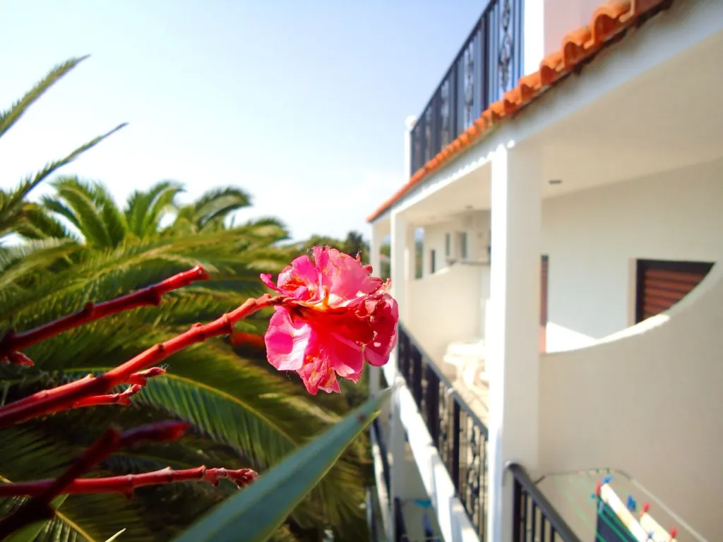 Bruskos Hotel & Suites, Agios Georgios Argirades, Grčka — fotografija 1