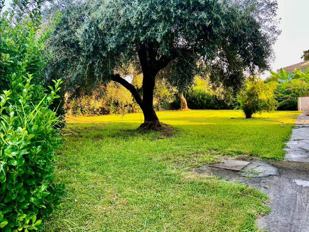Bruskos Hotel & Suites, Agios Georgios Argirades, Grčka — fotografija 4