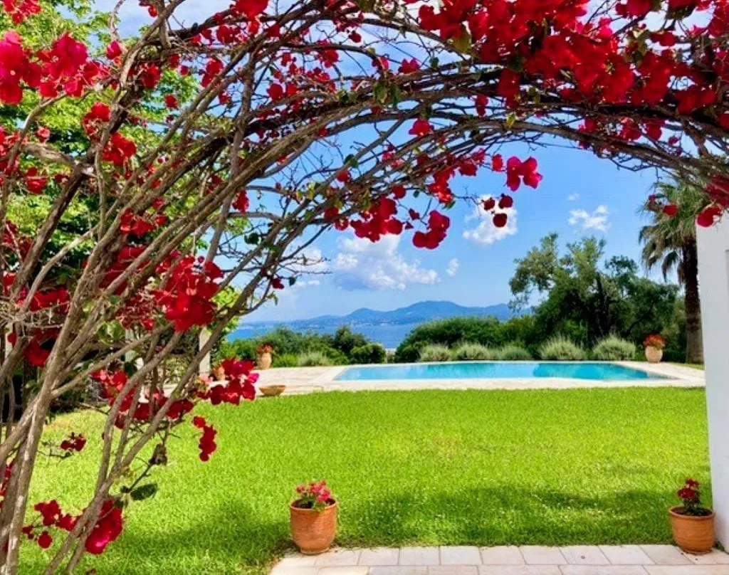 Corfu Stay Solutions, Dasia, Grčka — fotografija 17