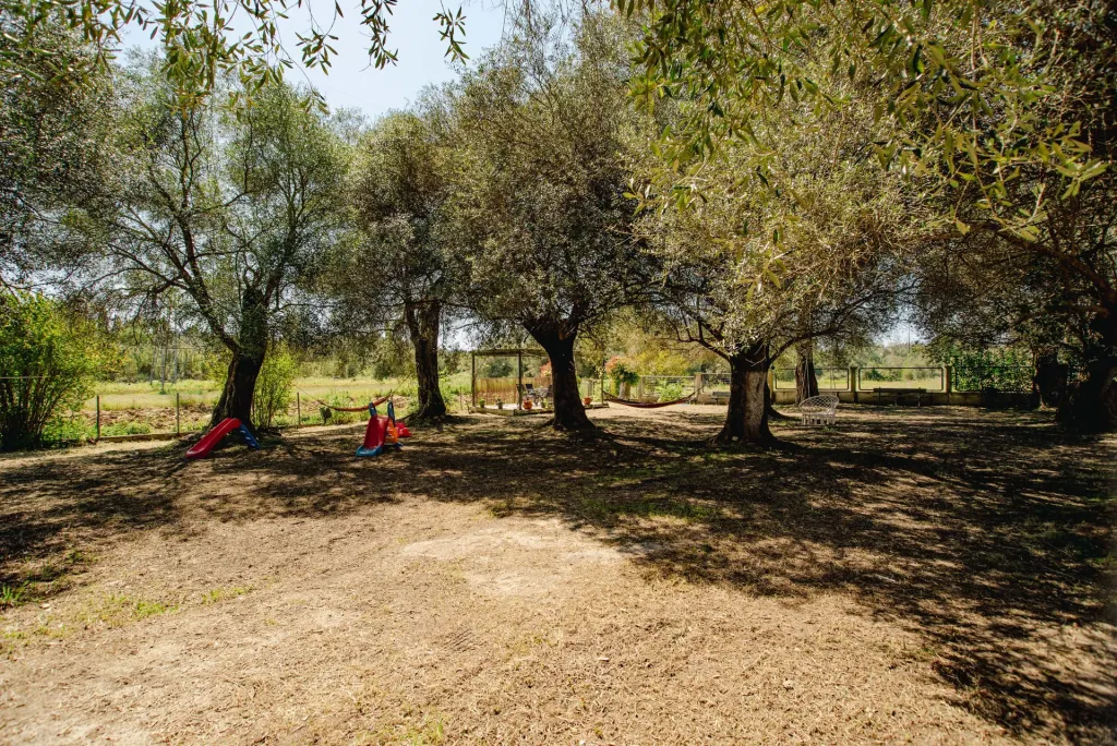 Fiore Azzurro, Perivoli, Grčka — fotografija 3