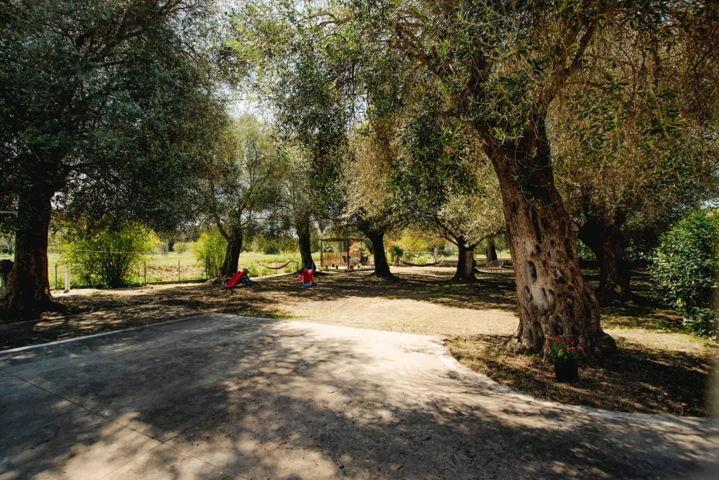 Fiore Azzurro, Perivoli, Grčka — fotografija 13
