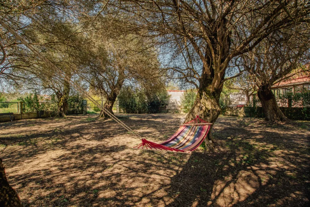 Fiore Azzurro, Perivoli, Grčka — fotografija 14