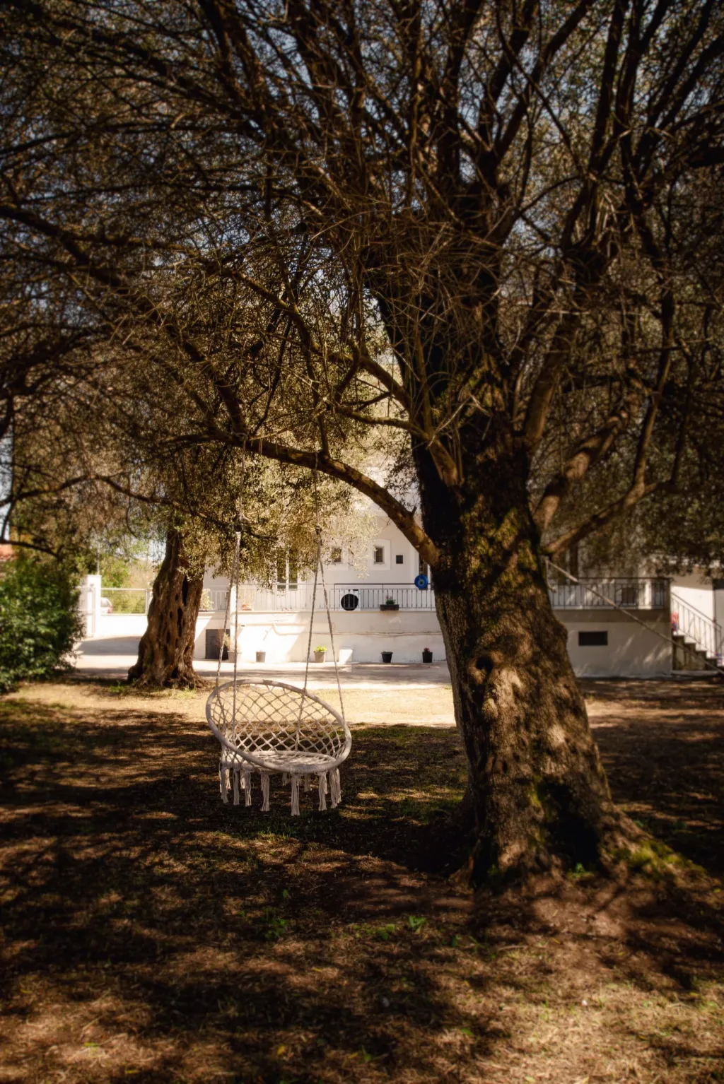 Fiore Azzurro, Perivoli, Grčka — fotografija 22
