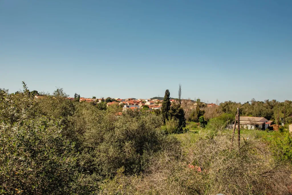 Fiore Azzurro, Perivoli, Grčka — fotografija 29