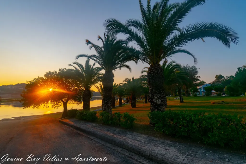 Govino Bay, Guvija, Grčka — fotografija 25
