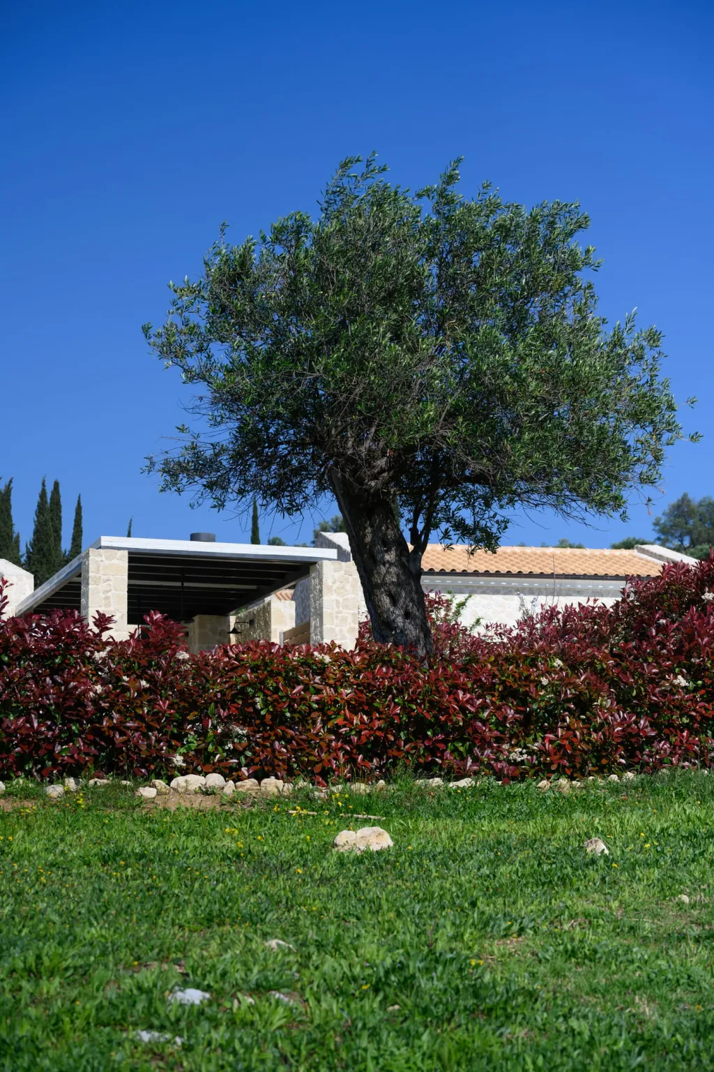 Mega Lithari Villas Corfu, Mega Litari, Grčka — fotografija 33