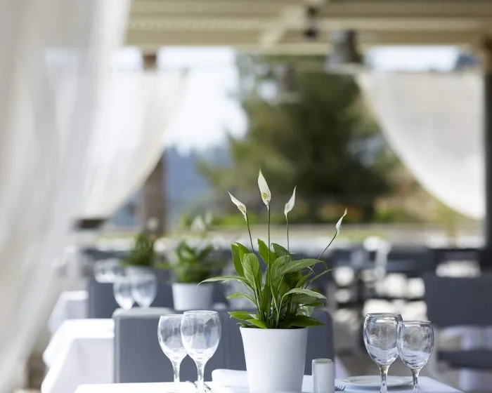 Mon Repos Palace-Adults Only, Grad Krf – Anemomilos, Grčka — fotografija 21